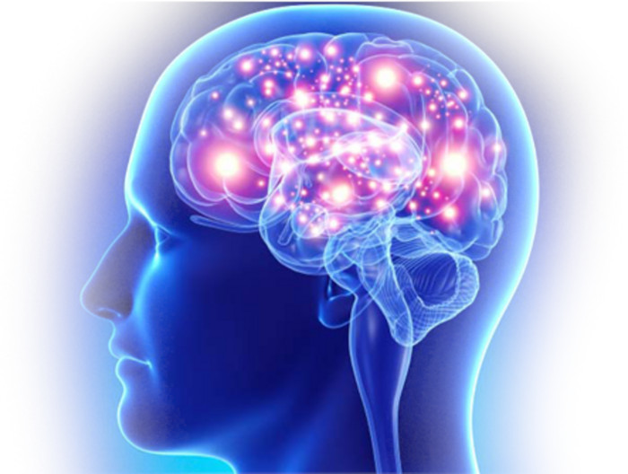 Neurodrine supports healthy brain and memory